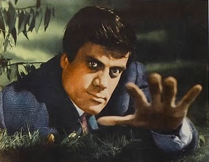 El libro como obsesión: la bibliomanía